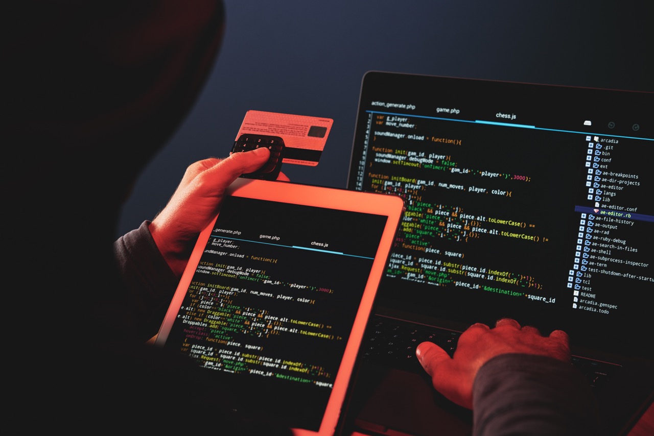 credit card skimmers and shimmers